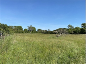 terrain a batir à la vente -   14640  AUBERVILLE, surface 575 m2 vente terrain a batir - UBI456653594